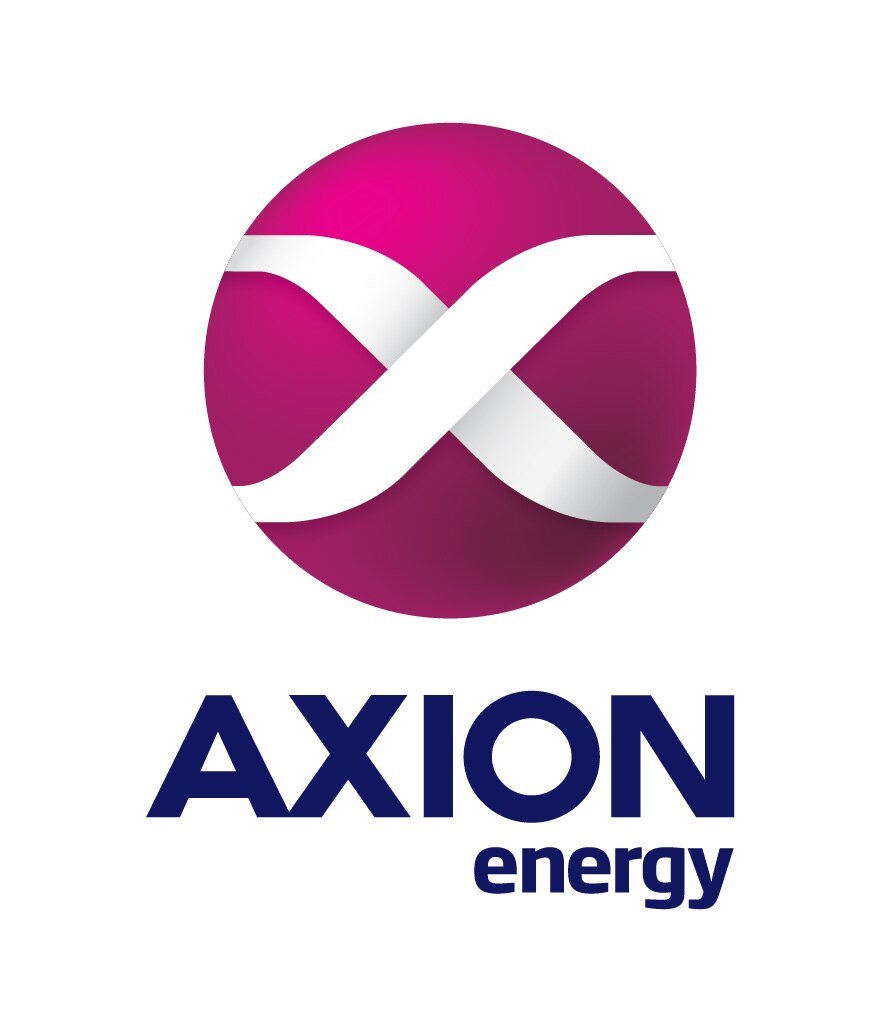Axion